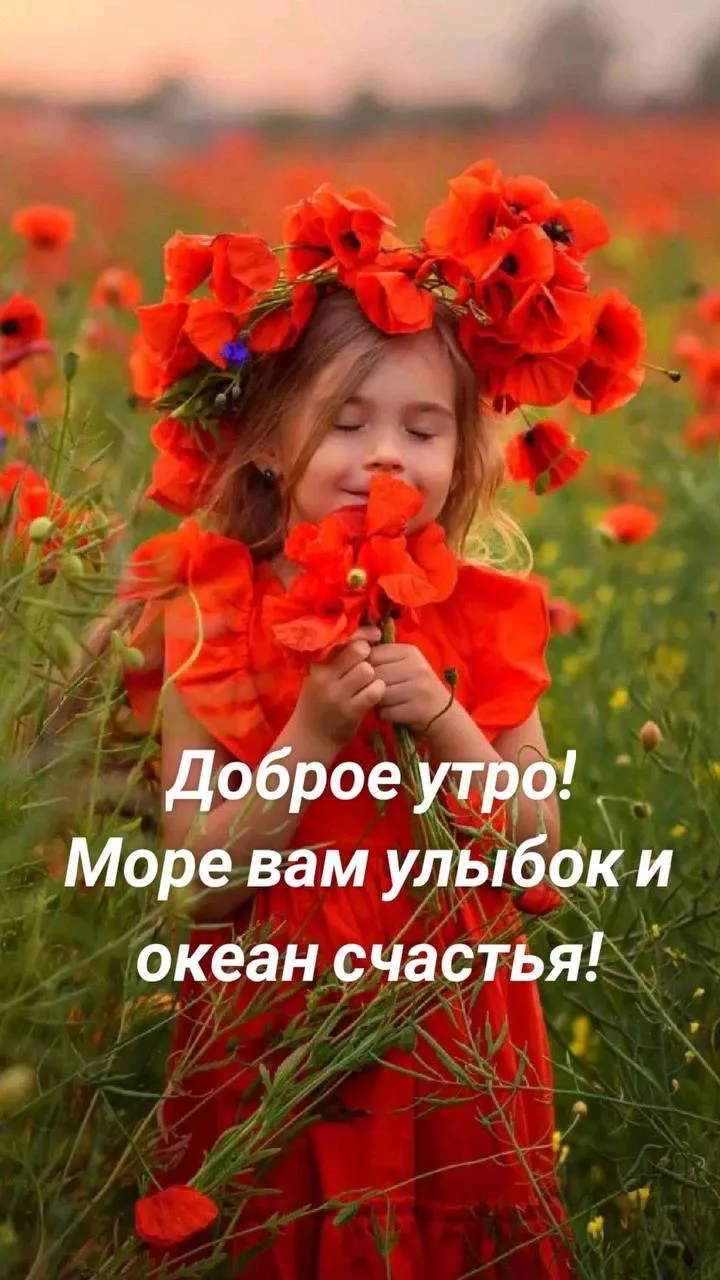 Галерея Открыток