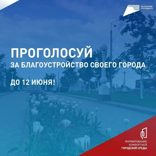 В Красногорском районе Брянщины продолжается голосование за выбор объектов благоустройс...