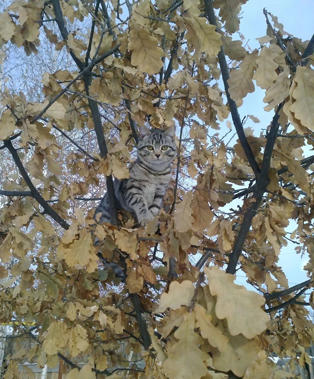 Доброе утро, Невьянск!