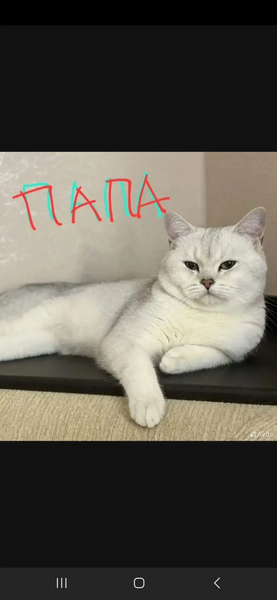 #Ставрополь