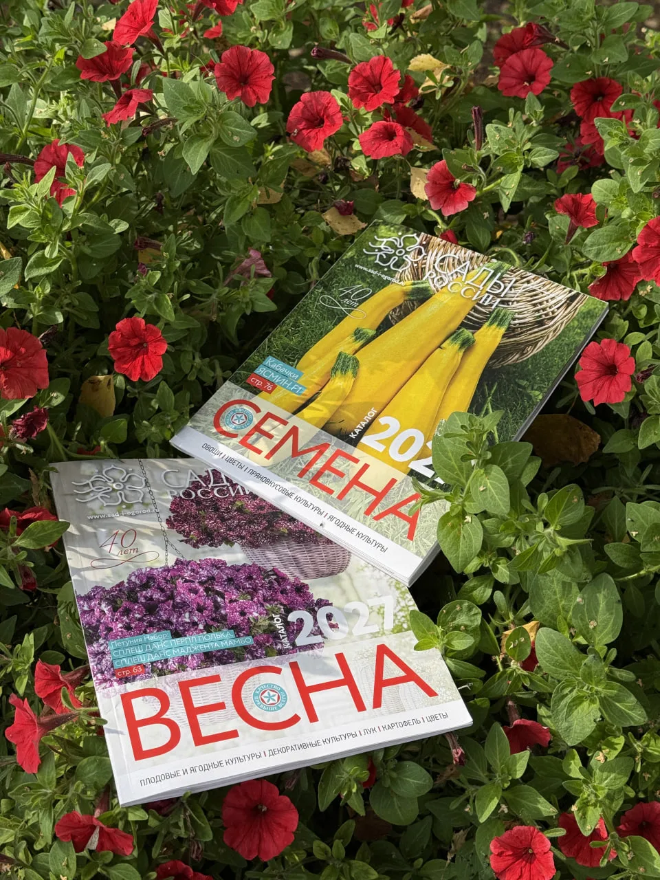 📚 ДУМАЕТЕ, В ПЕЧАТНОМ КАТАЛОГЕ ЕСТЬ ВСЁ? А ВОТ И НЕТ!