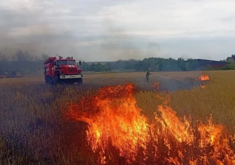 🚒 В Приволжском районе горело ячменное поле

Огонь потушили на площади 30 кв. м. Погибших и пострад