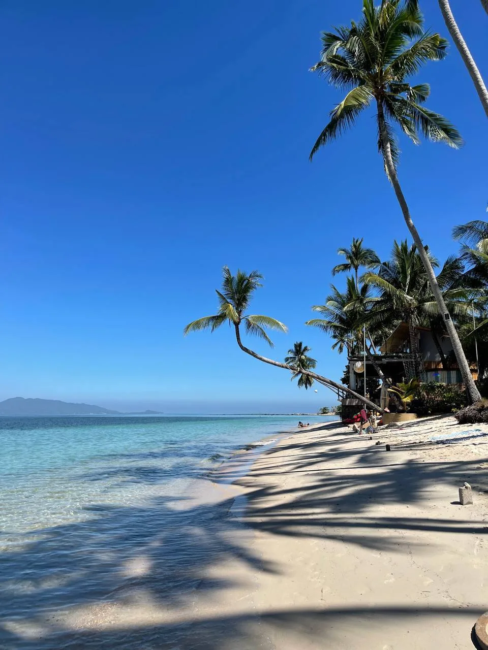 ✨Отличного понедельника, дорогие путешественники!🌴