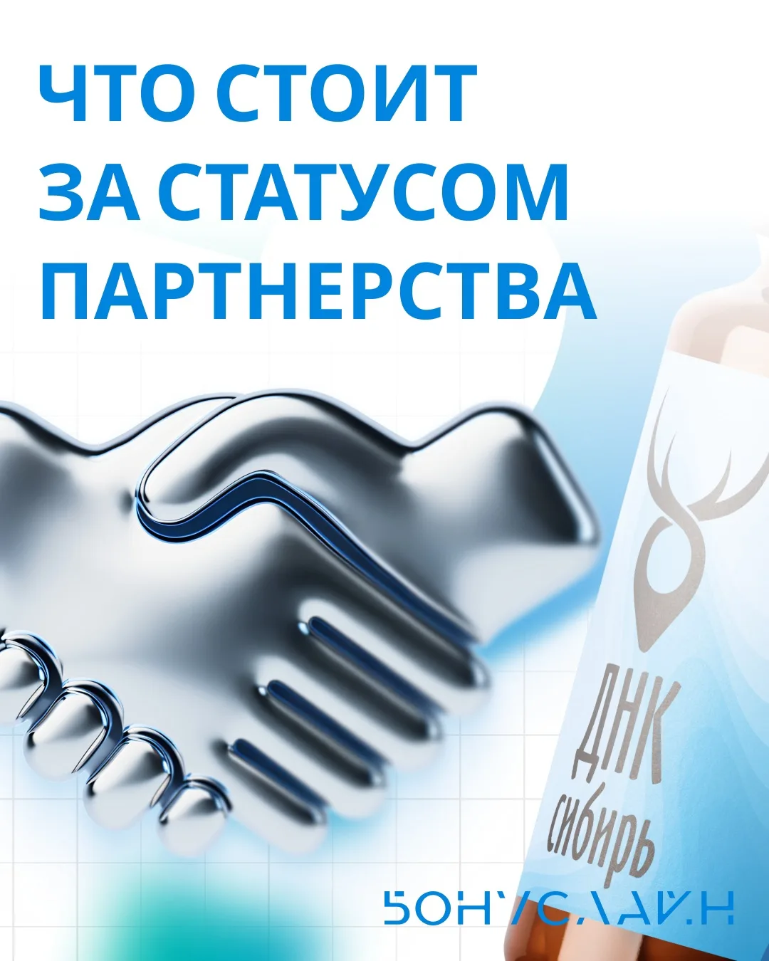 Почему ДНК Сибирь в галерее проектов Бонуслайн: что стоит за статусом партнерства 🤝