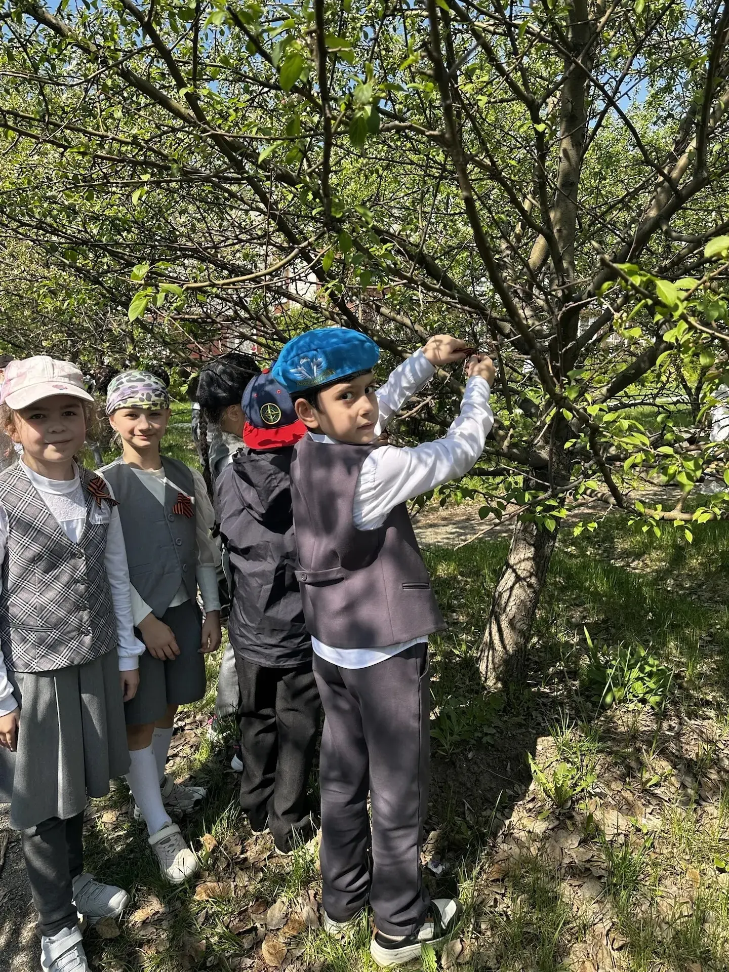 🌳  Георгиевская ленточка на Яблоневой аллее  ✅Каждый год в канун Дня Великой Победы Яблоневая аллея 