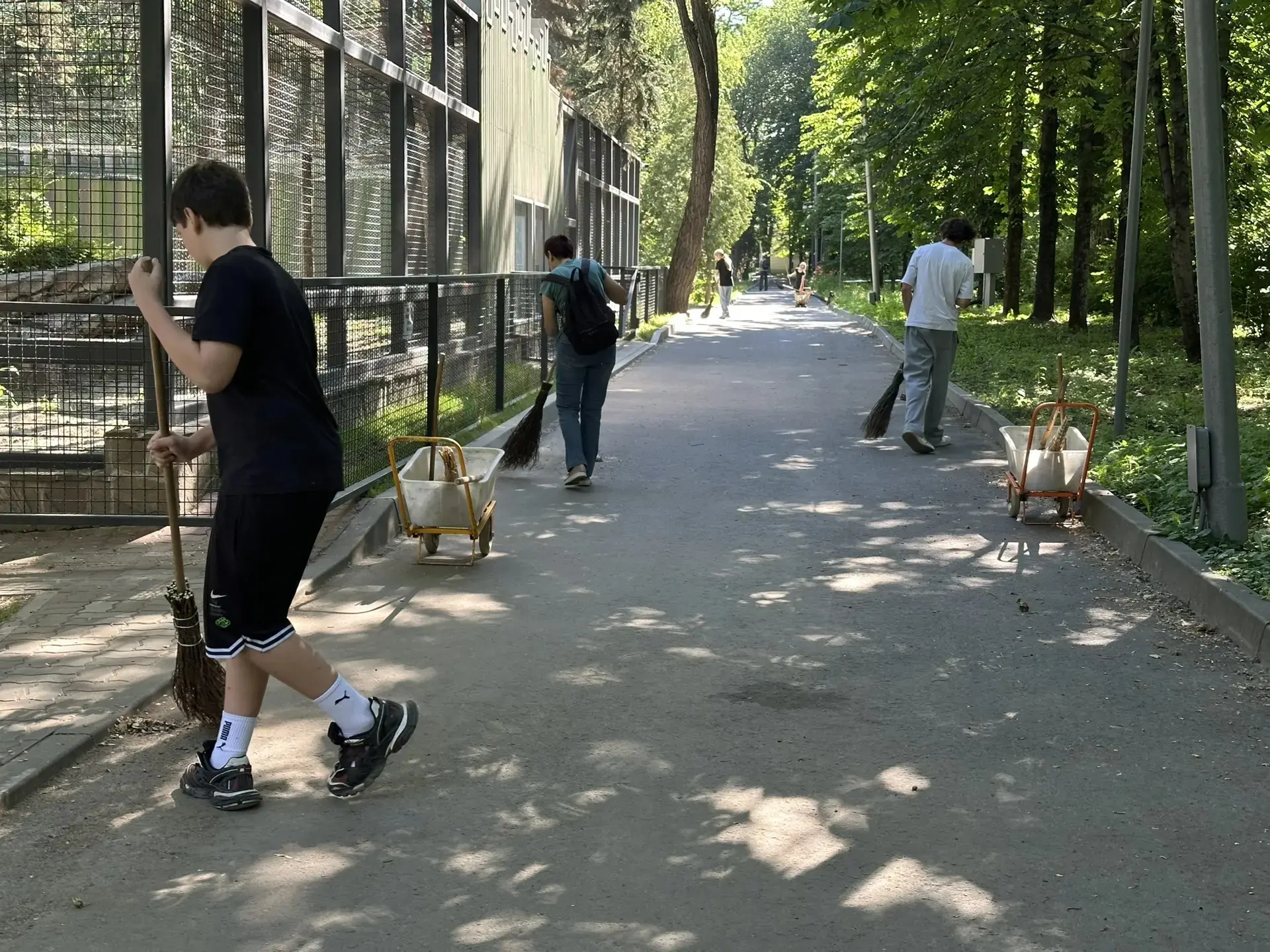 ☀️ Летом в зоопарке очень много посетителей - приходят большие компании друзей, целые с...