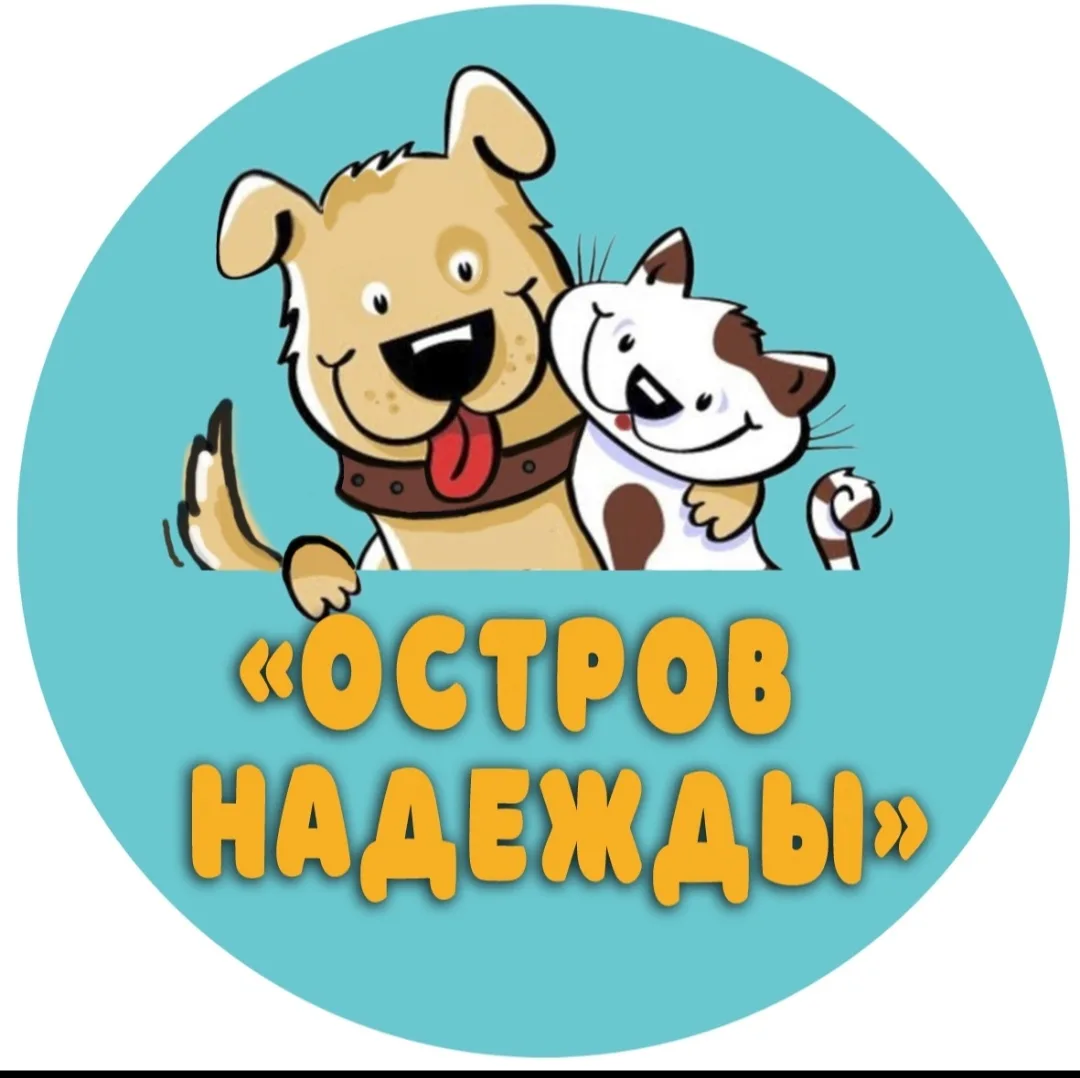 💬Не обижайте брошенных животных,