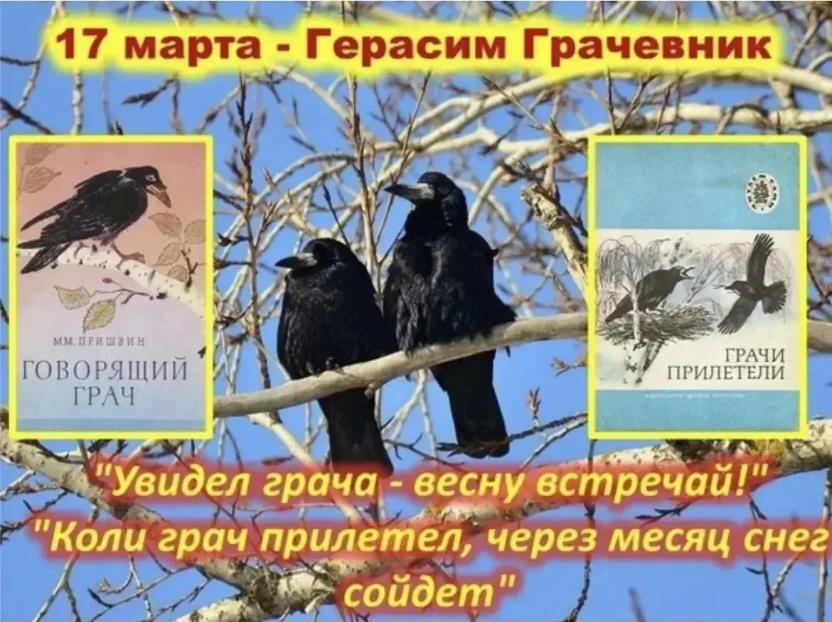 17 марта — День грача!