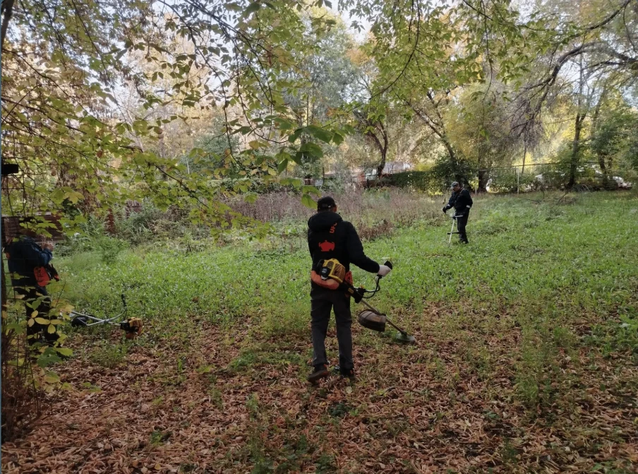 🌿 Продолжаем приводить незакреплённые территории района в порядок