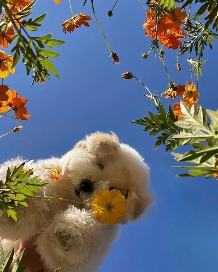 Всем доброго весеннего утра!💕