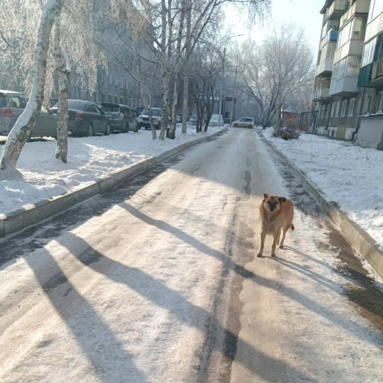 Бывали случаи, когда наши жители в личных сообщениях писали о проблеме, кто-то хочет установить будк