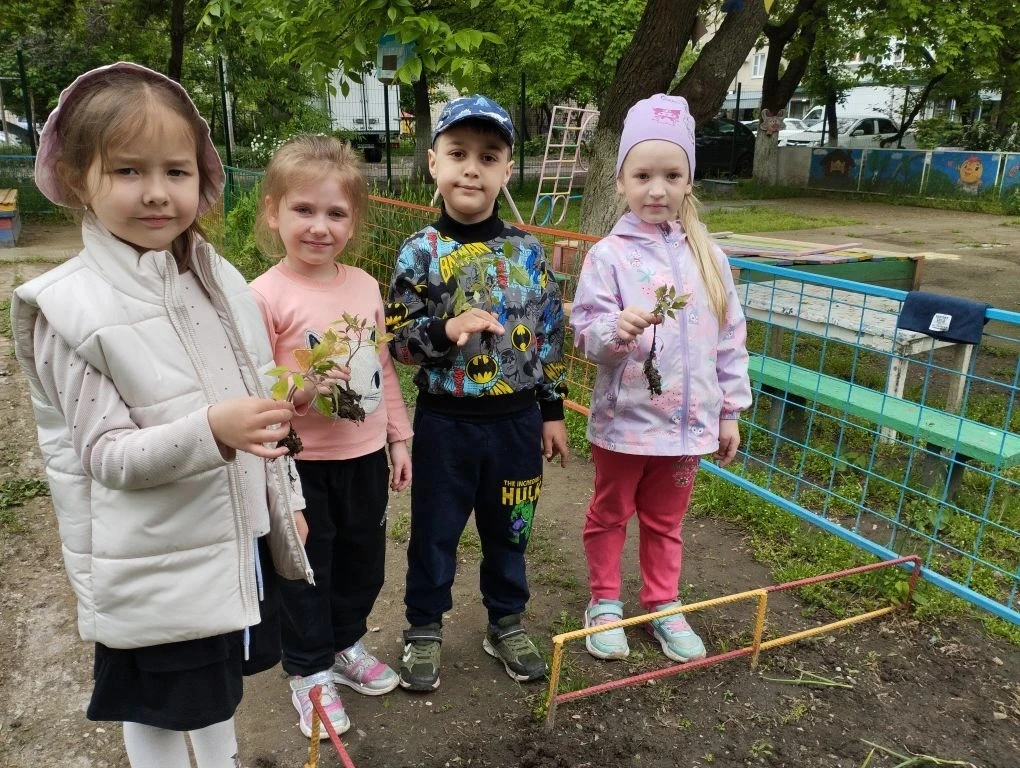 🌿 Неделя экологии в группе «Рябинушка» подошла к концу — и мы хотим поделиться радостью! 🌿

Наши ю