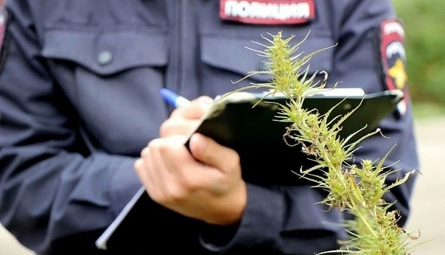 🚔 ИЗЪЯЛИ 28 КИЛОГРАММОВ НАРКОТИКОВ