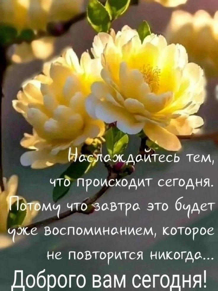 Радуйтесь новому дню!