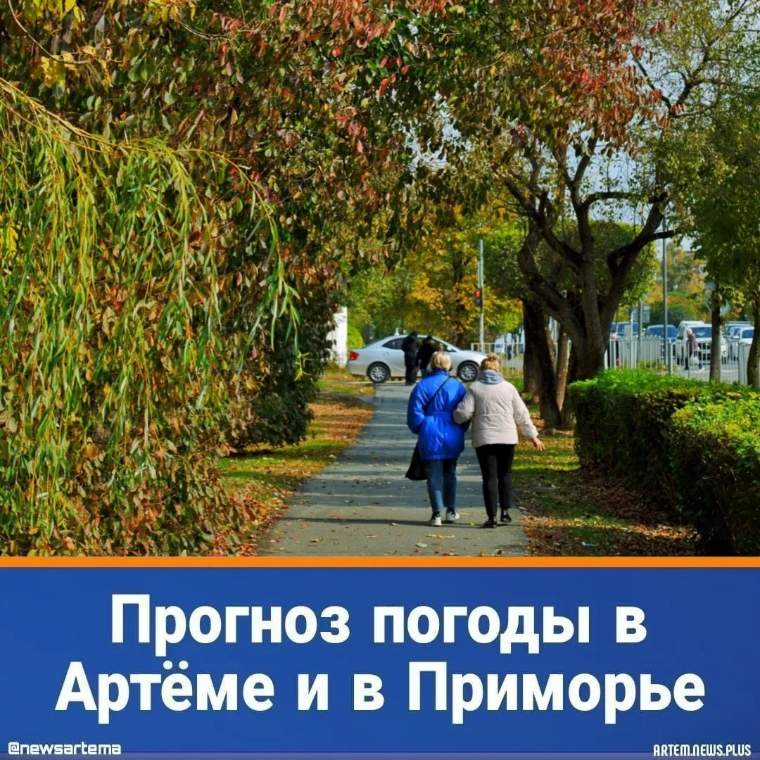 ⭐️ Сегодня, 15 сентября, погоду в Приморском определяет поле повышенного атмосферного д...