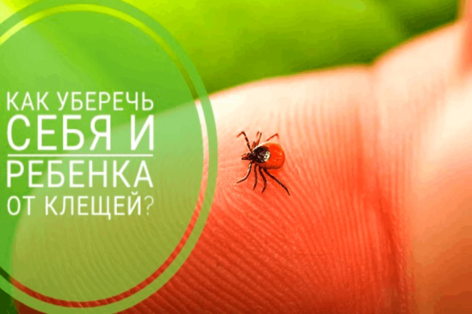 Весна-начало сезона активности клещей!
По результатам ежегодных наблюдений в Республике Татарстан се