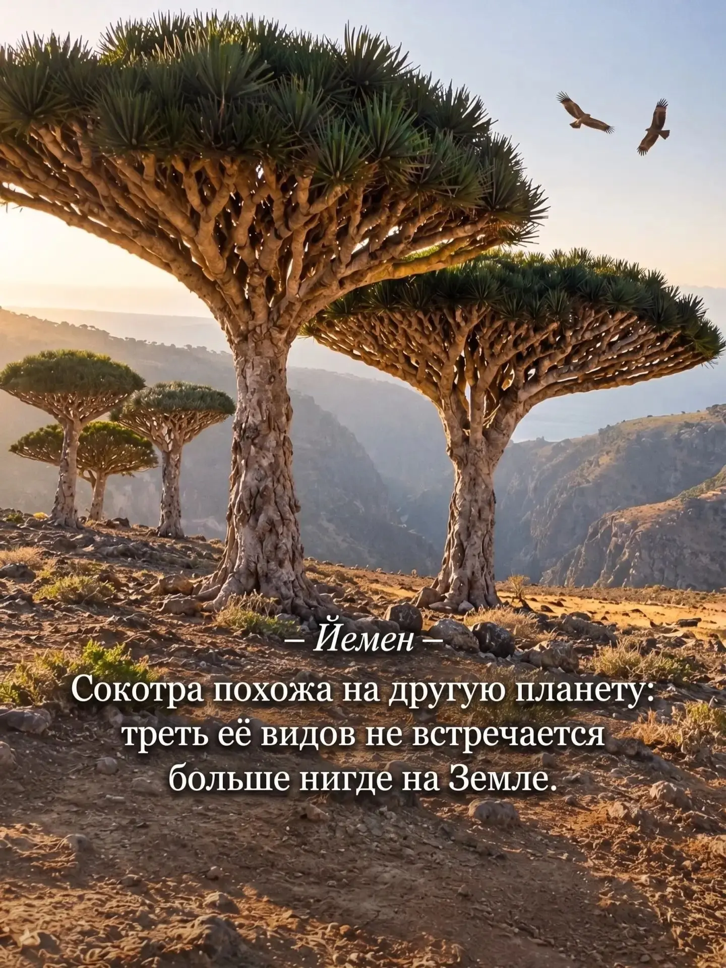 На Земле есть места, считающиеся,,неофициальными чудесами света"". Вот семь таких, и вс...