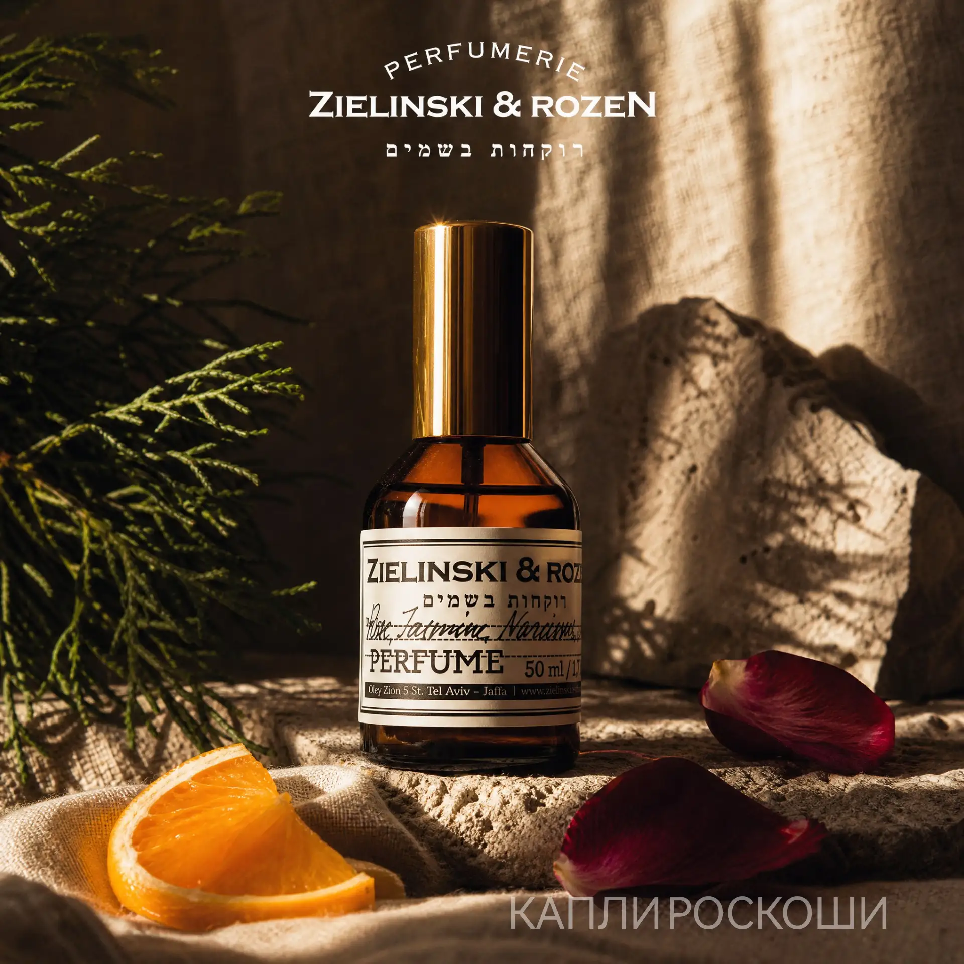 ZIELINSKI & ROZEN