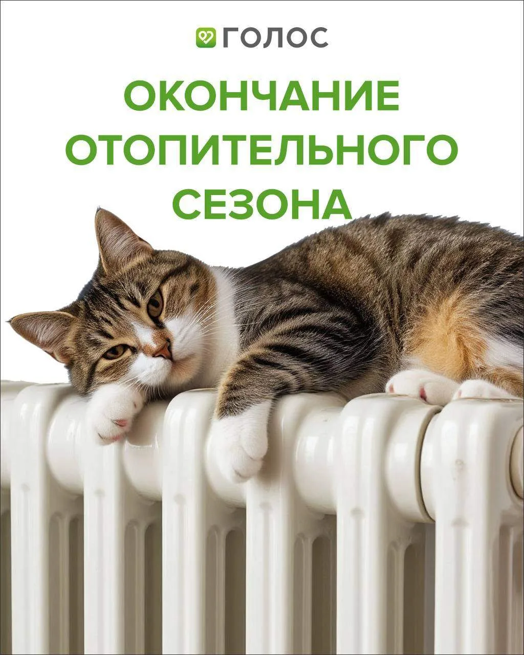 📢 Для «Голос Эльтаун»: