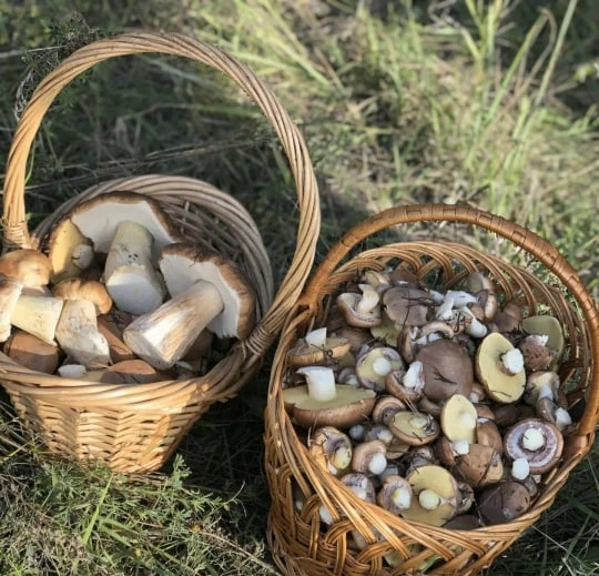 Жители Урюпинска делятся своими находками 😍