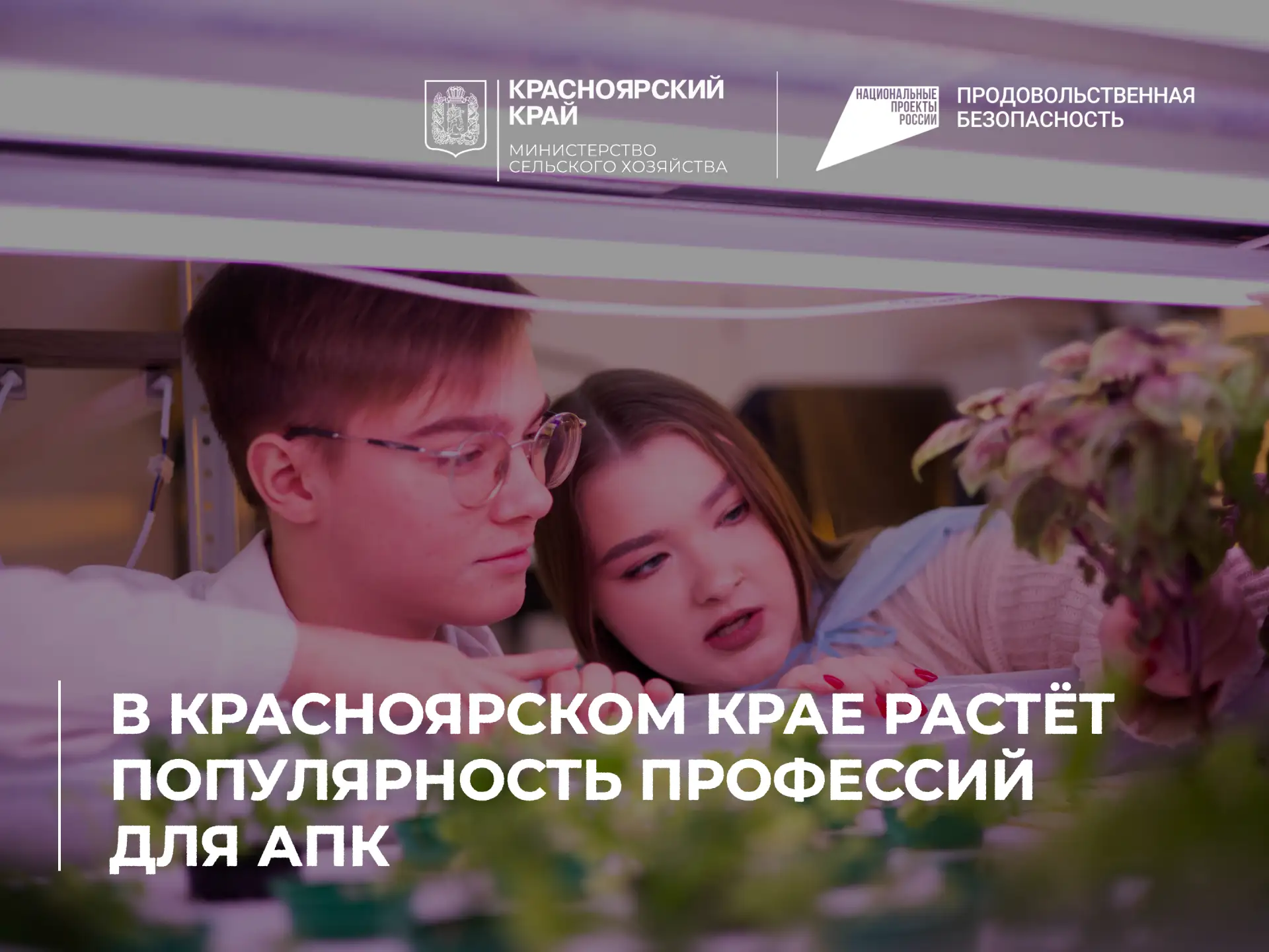 Агрономия, ветеринария и цифровое земледелие: в Красноярском крае растёт популярность п...