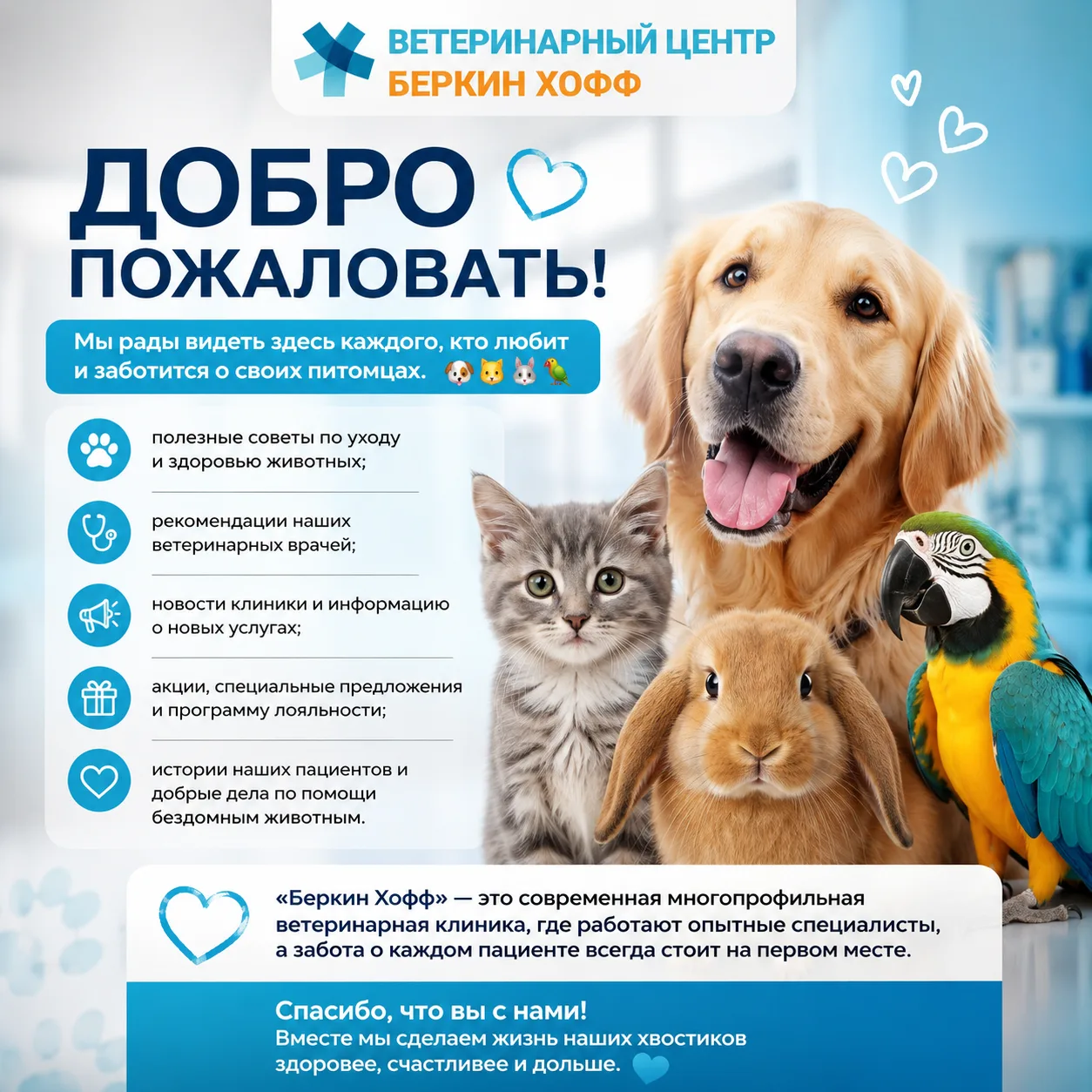 👋 Добро пожаловать в официальный канал Ветеринарного Центра «Беркин Хофф»!