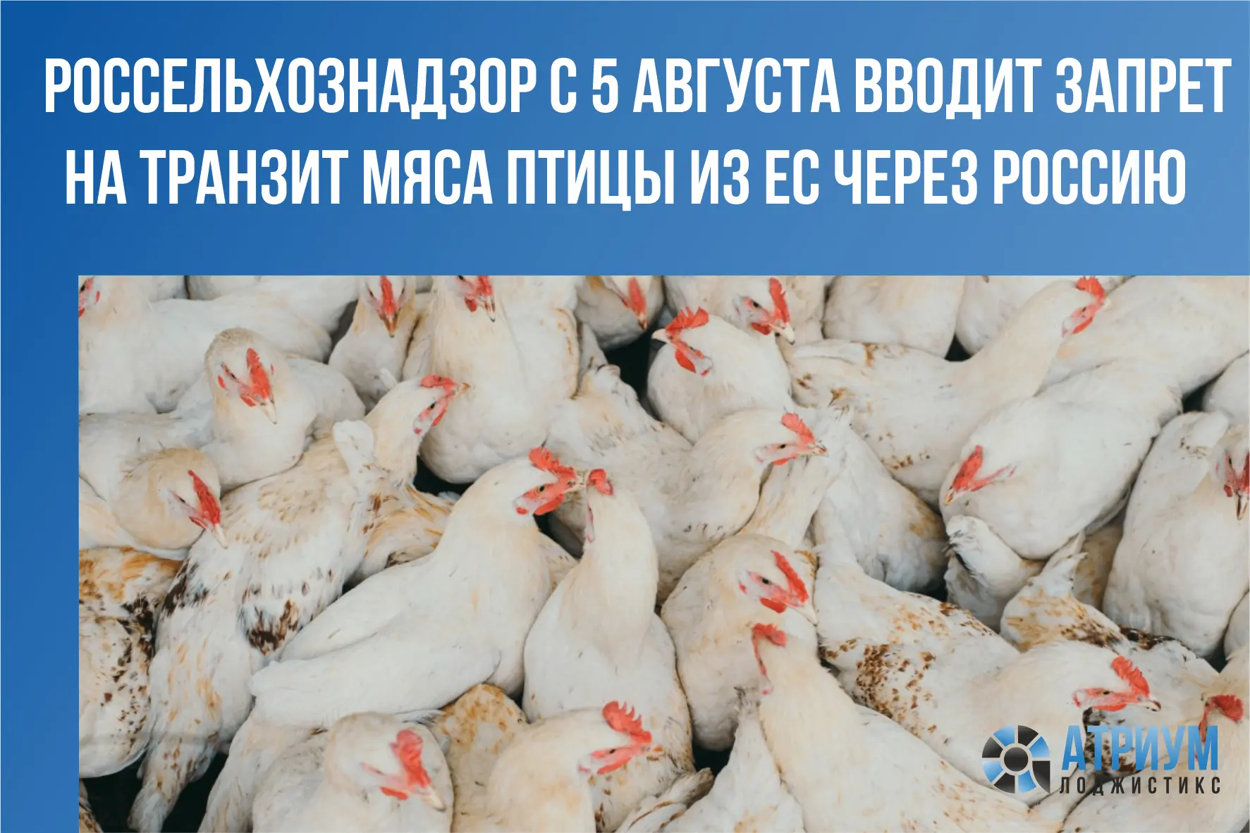 Временные ограничения начнут действовать с сегодняшнего дня. Решение принято для недопу...