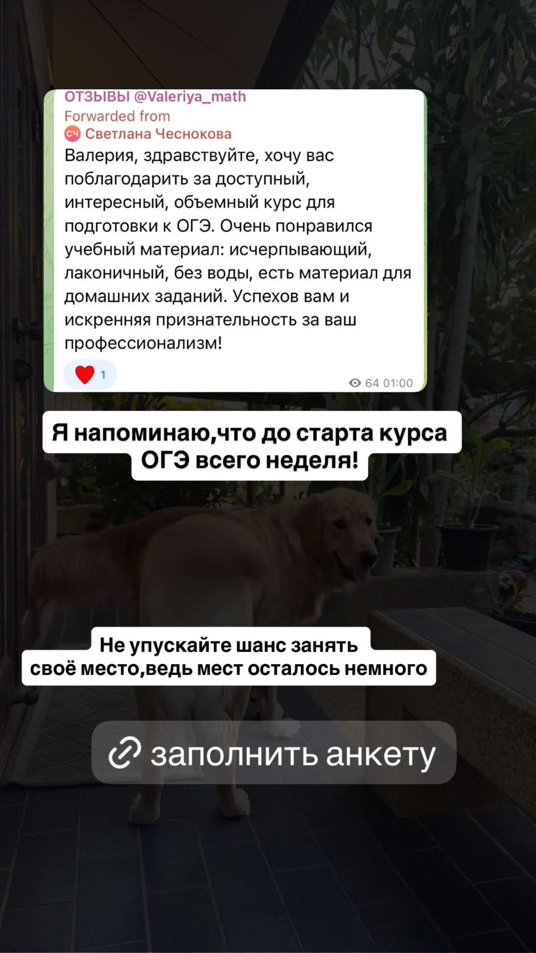 Годовые курсы ЕГЭ и ОГЭ 2027