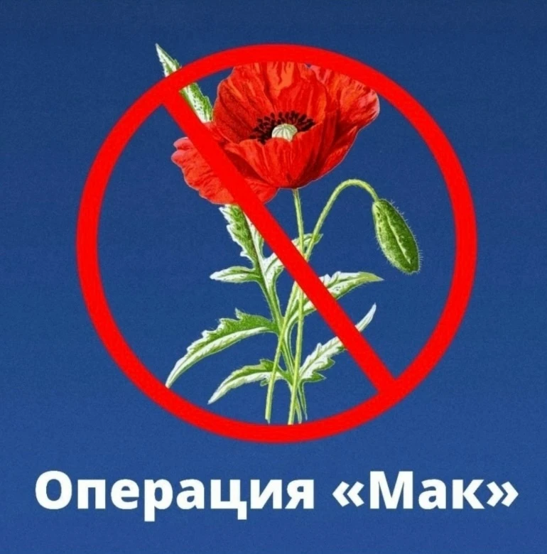 В период с мая по сентябрь 2026 года на территории Астраханской области планируется про...