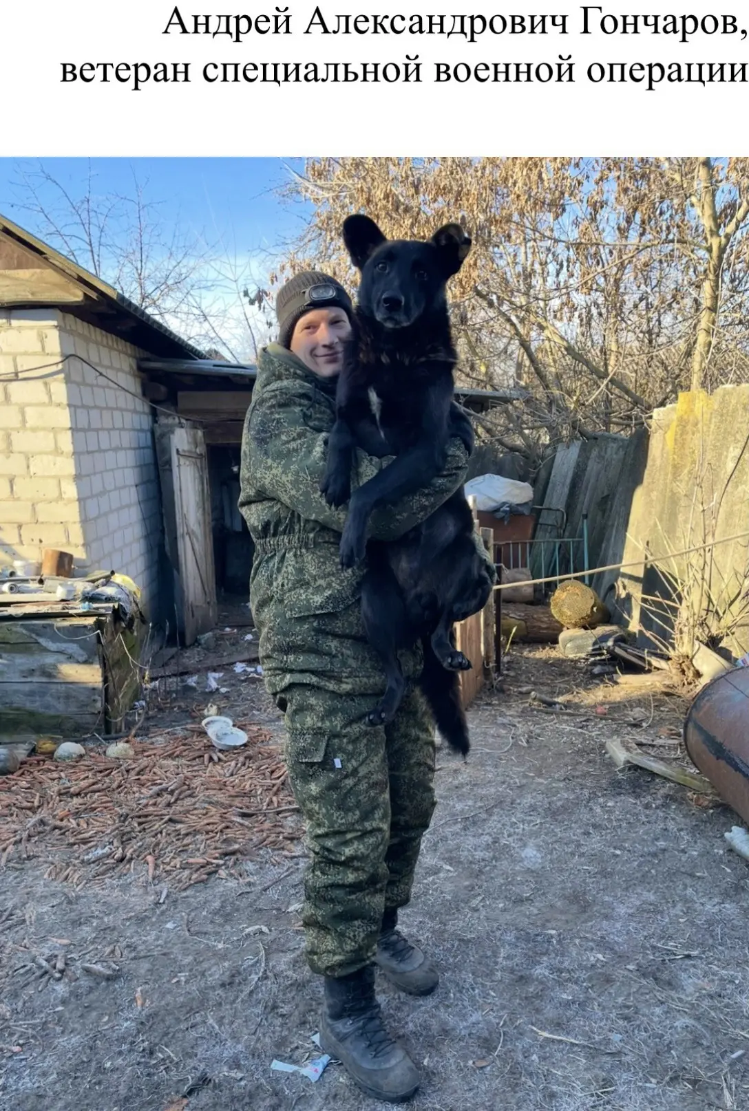 Посвящается всем фронтовым четвероногим друзьям