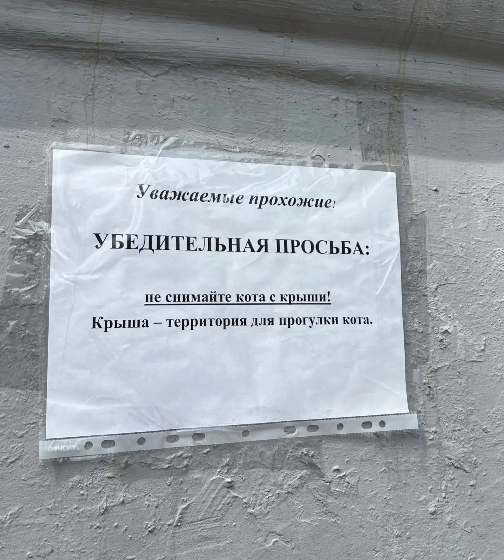 Просто случайное объявление в Волгограде 😁