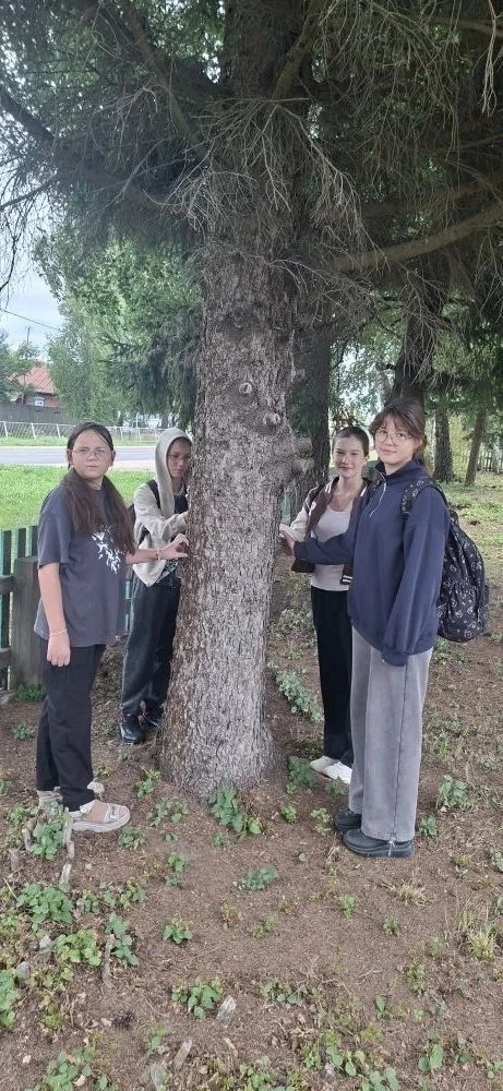Дмитриевская ООШ.