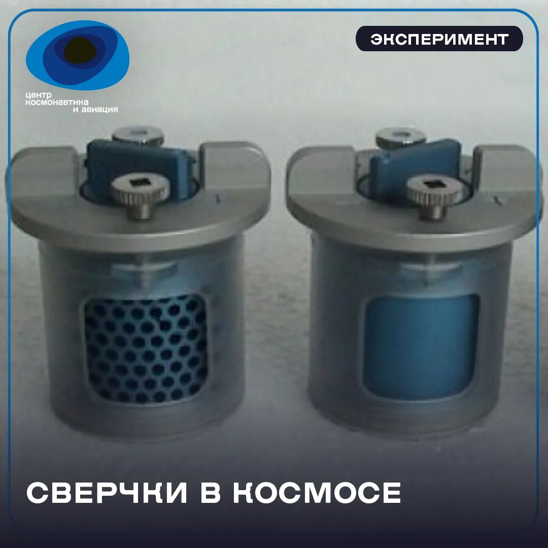 🚀В 2005 году на борт МКС были привезены обычные сверчки домовые. Исследователи на их п...