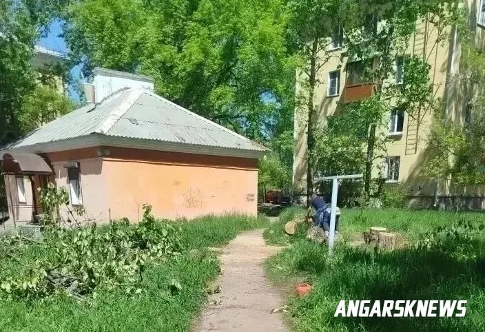 Изображение 1 к публикации «Новости Ангарска»