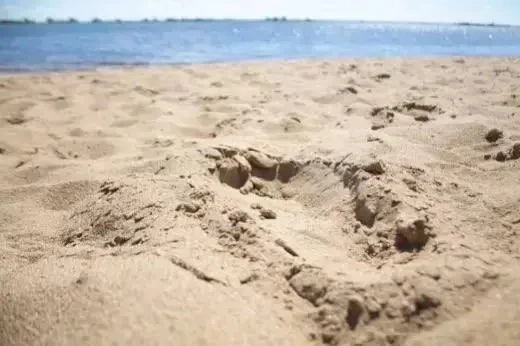 🏖 В Сызрани закрыли городские пляжи после окончания купального сезона.