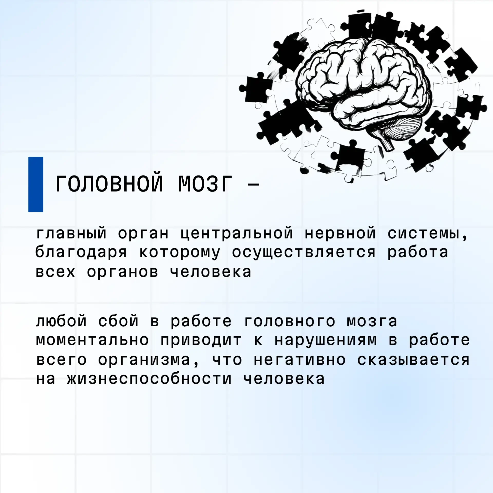 С 20 по 26 июля 2026 проводится Неделя сохранения здоровья головного мозга (в честь Всемирного дня м