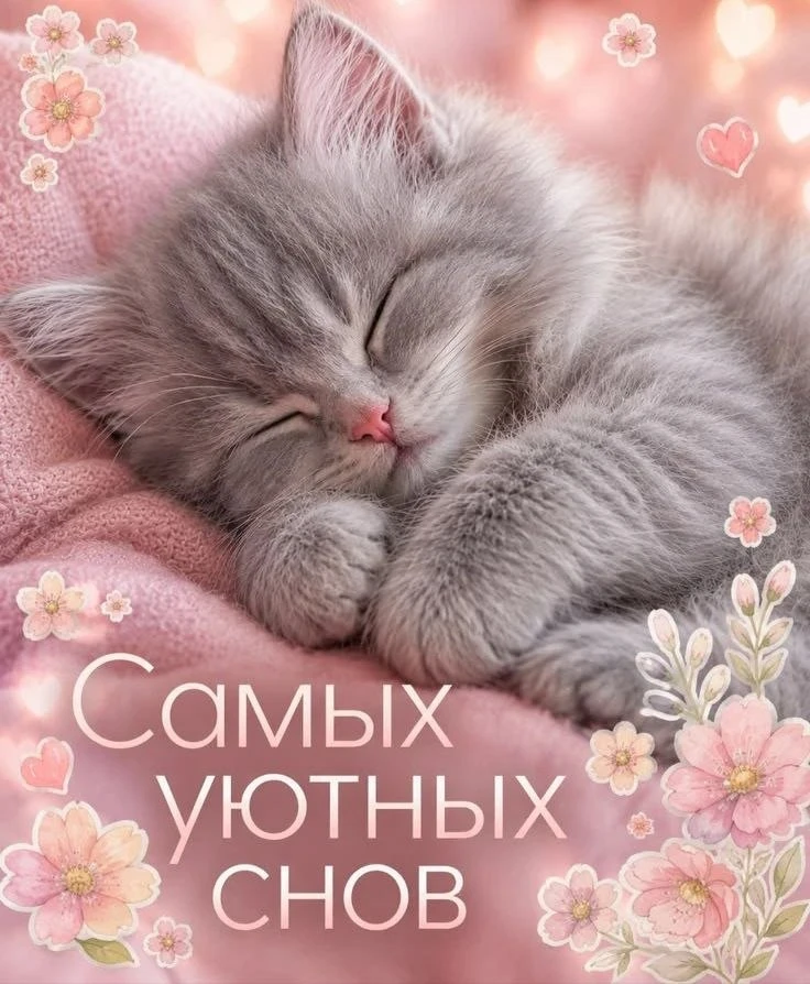Ну что, субботний вечер потихоньку сдувается✨