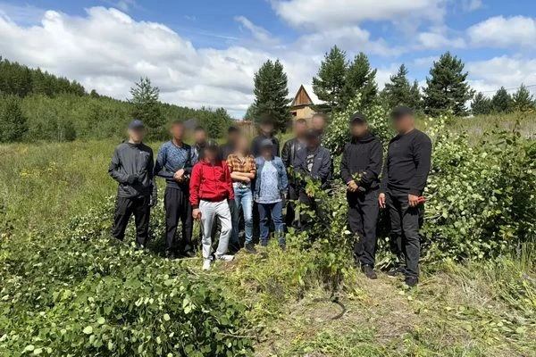 Осужденные к принудительным работам приняли участие в заготовке веточного корма для жив...