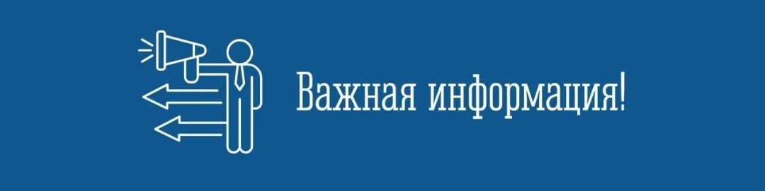 Уважаемые  видяевцы!