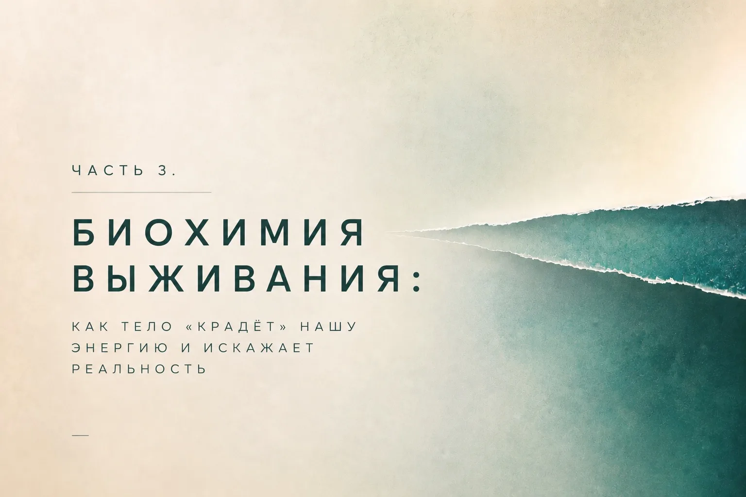 ЧАСТЬ 3. СКРЫТЫЕ СИГНАЛЫ ЭНЕРГИИ: КАК НАШЕ ПОДСОЗНАНИЕ ВЫБИРАЕТ СЦЕНАРИИ ЖИЗНИ