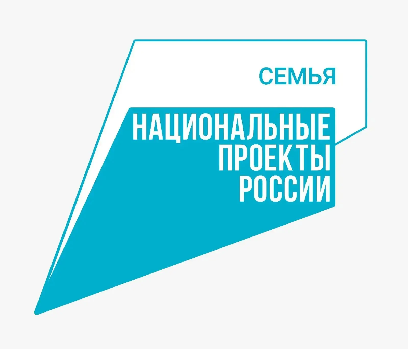 1,7 миллиона рублей получили семьи Третьяковского района Алтайского края в виде региона...