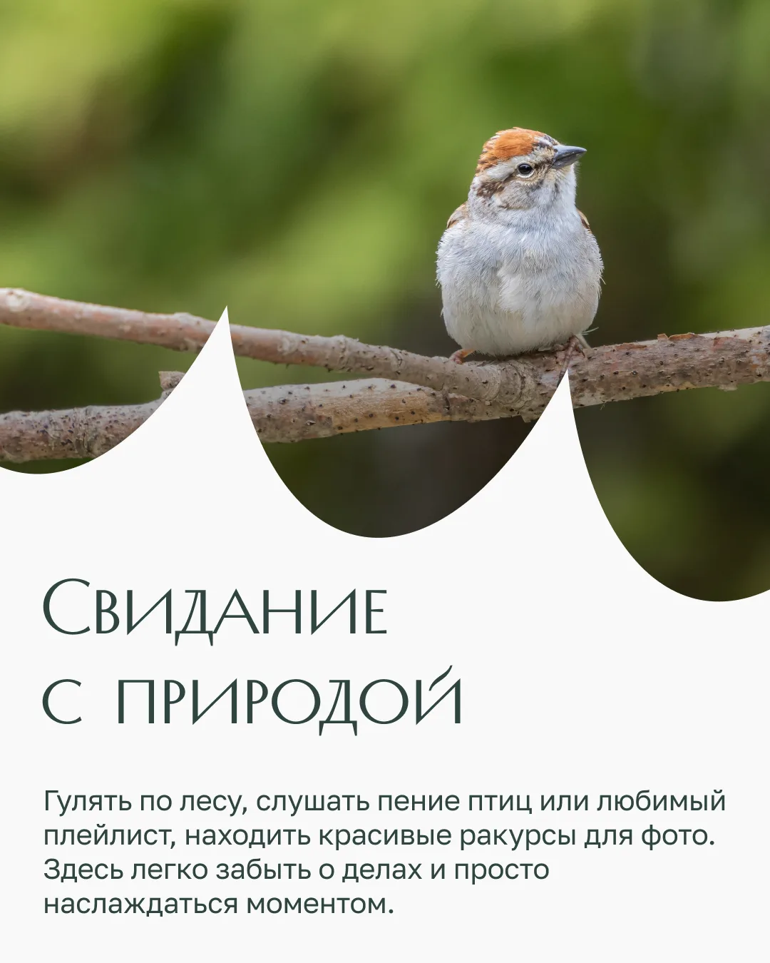 На 6 гектарах приватной территории «Лесной Коллекции» в окружении Алёшкинского леса вас...