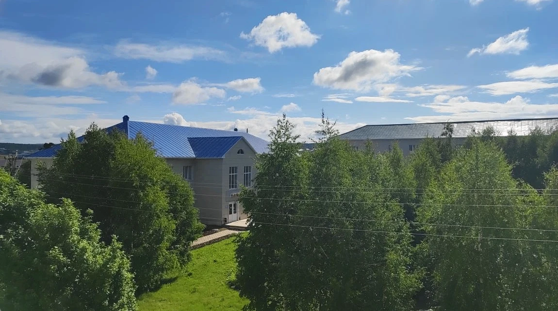 Оперативная информация о работе ГБУЗ РБ Зилаирская ЦРБ🏥 Период отчётности: с 12   по 19 июня 2026 г