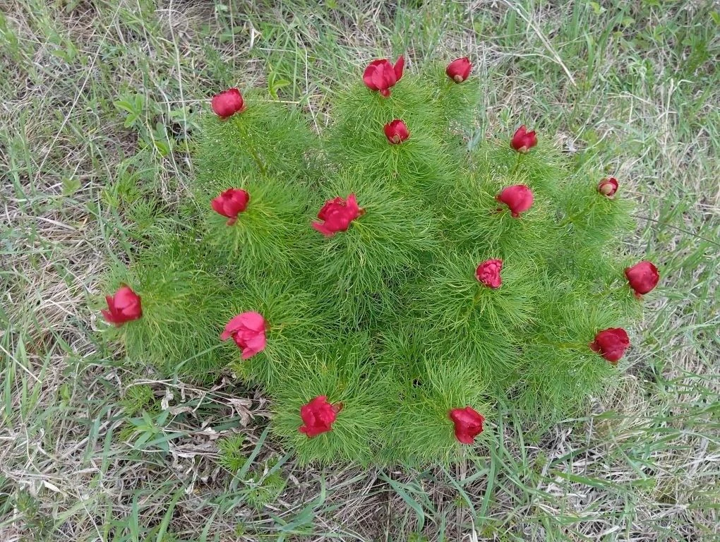 🌿 Учителя биологии школы №25 снова доказали, что настоящая наука начинается не только в кабинете, но