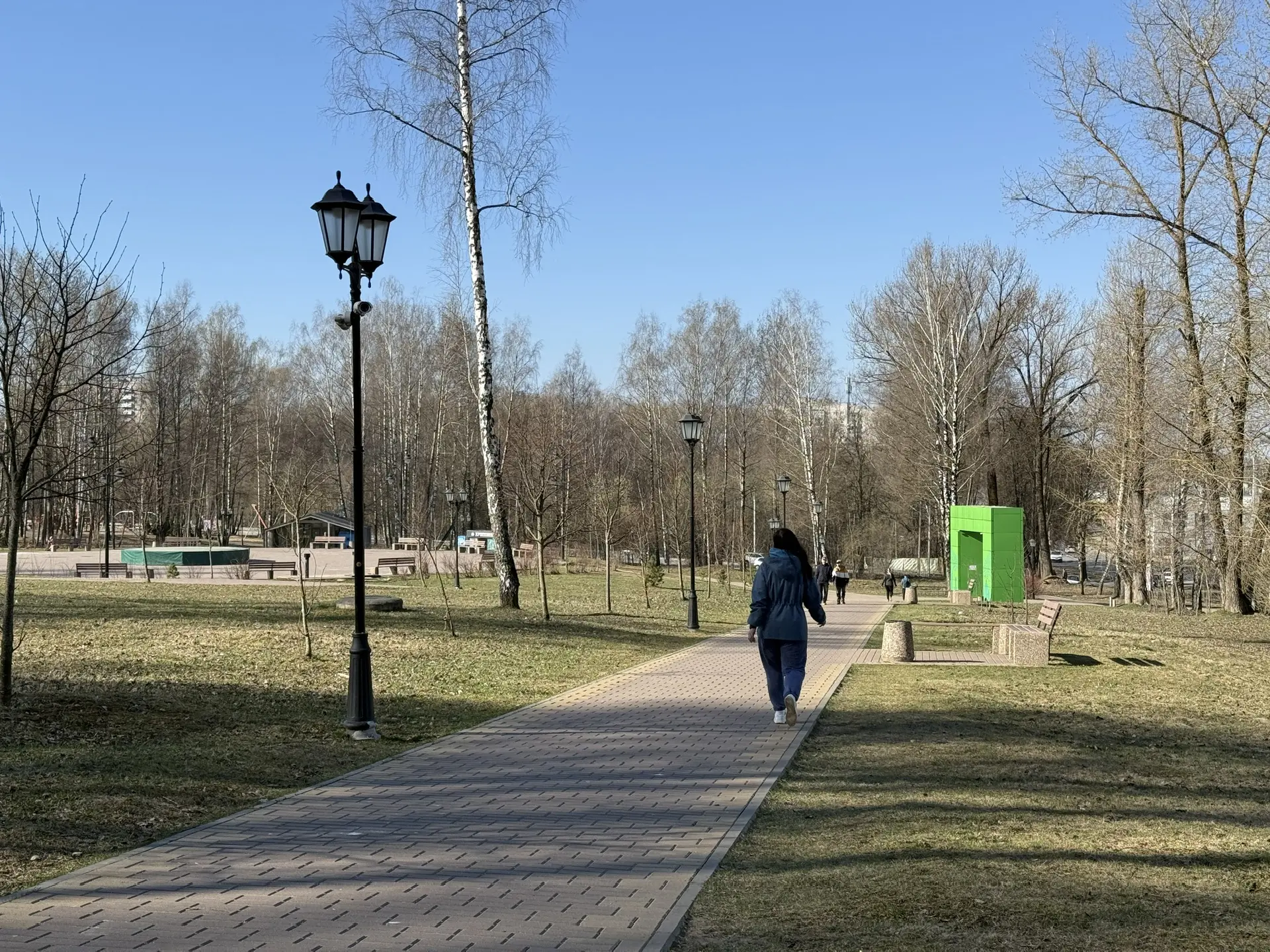 Парк «Соловьиная роща», к сожалению, совсем не готов к отдыху смолян и гостей города. Покраска сцены