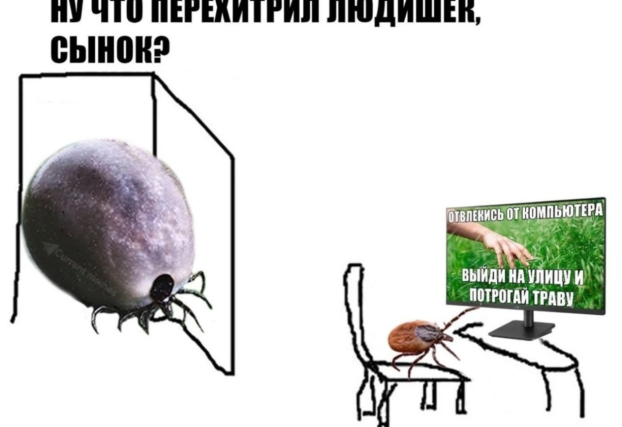 их же уже нет? осень так то
