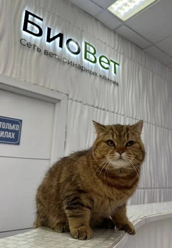 Вы уже подписались на наш MAX?