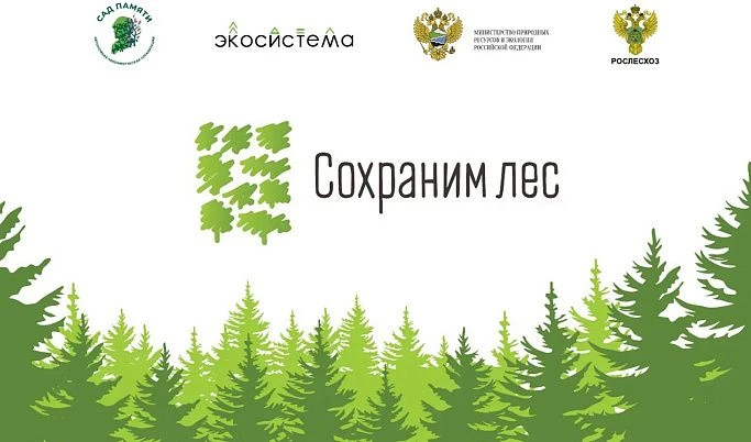 В Тверской области в рамках Всероссийской акции «Сохраним лес» высажено порядка 420 тыс...