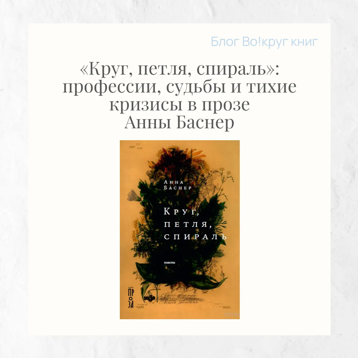 Анна Баснер — молодая петербургская писательница, чьи тексты стремительно вошли в литер...