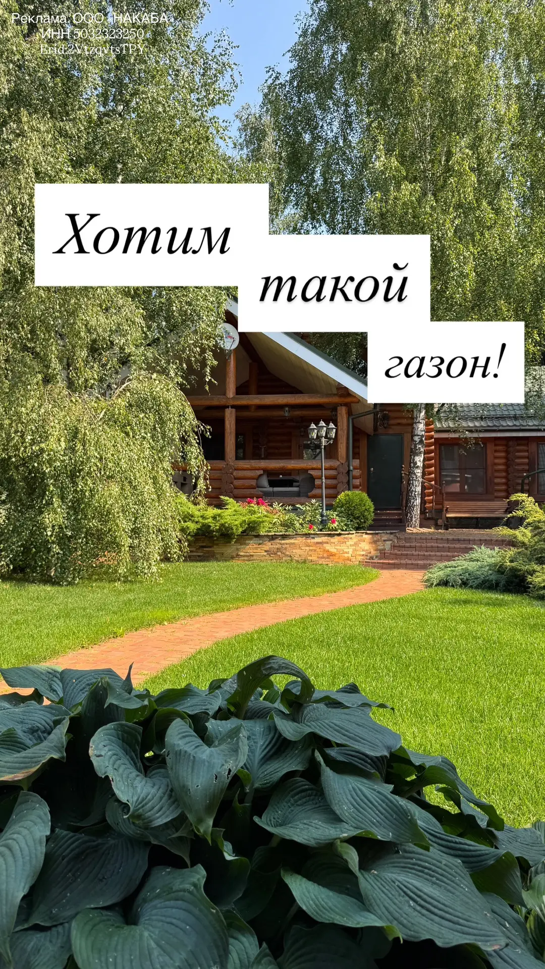 Газон - это ценная мульча для огорода и сада!

И чем полноценнее мы его кормим, тем ценнее по питате